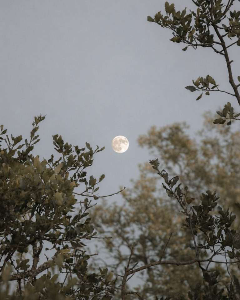 Qué ocurre en nuestro interior durante la luna llena