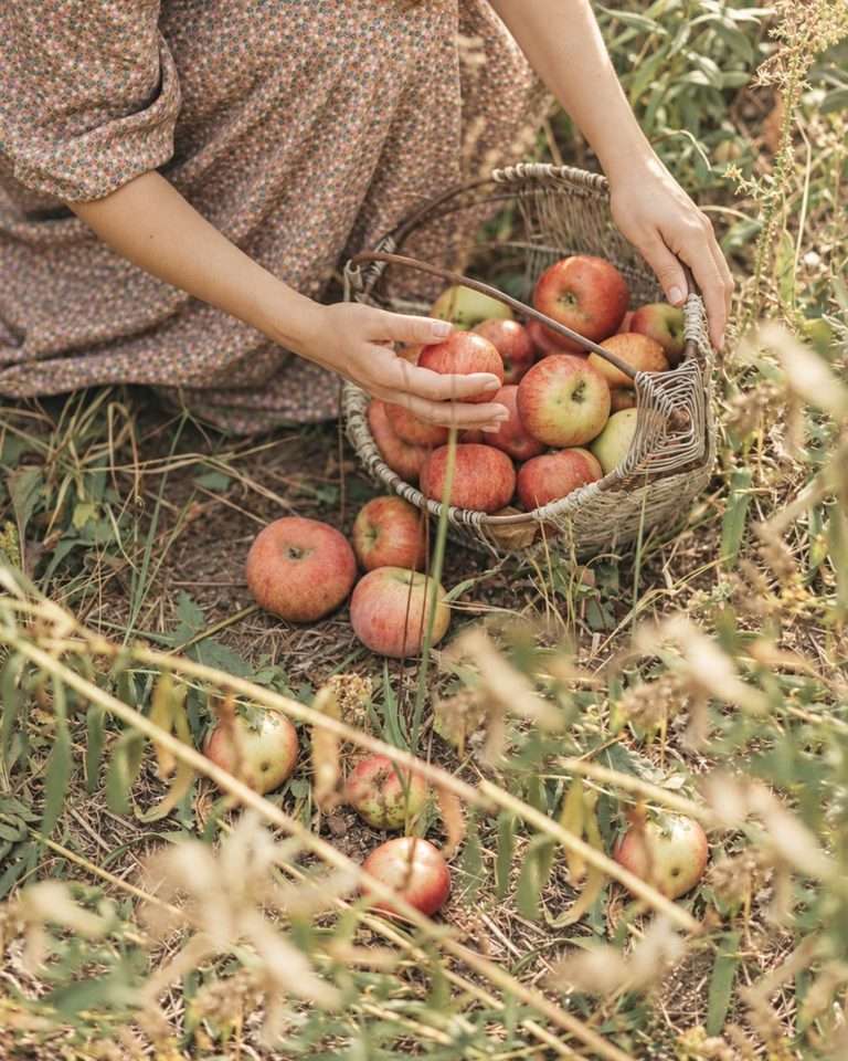 El significado espiritual del otoño